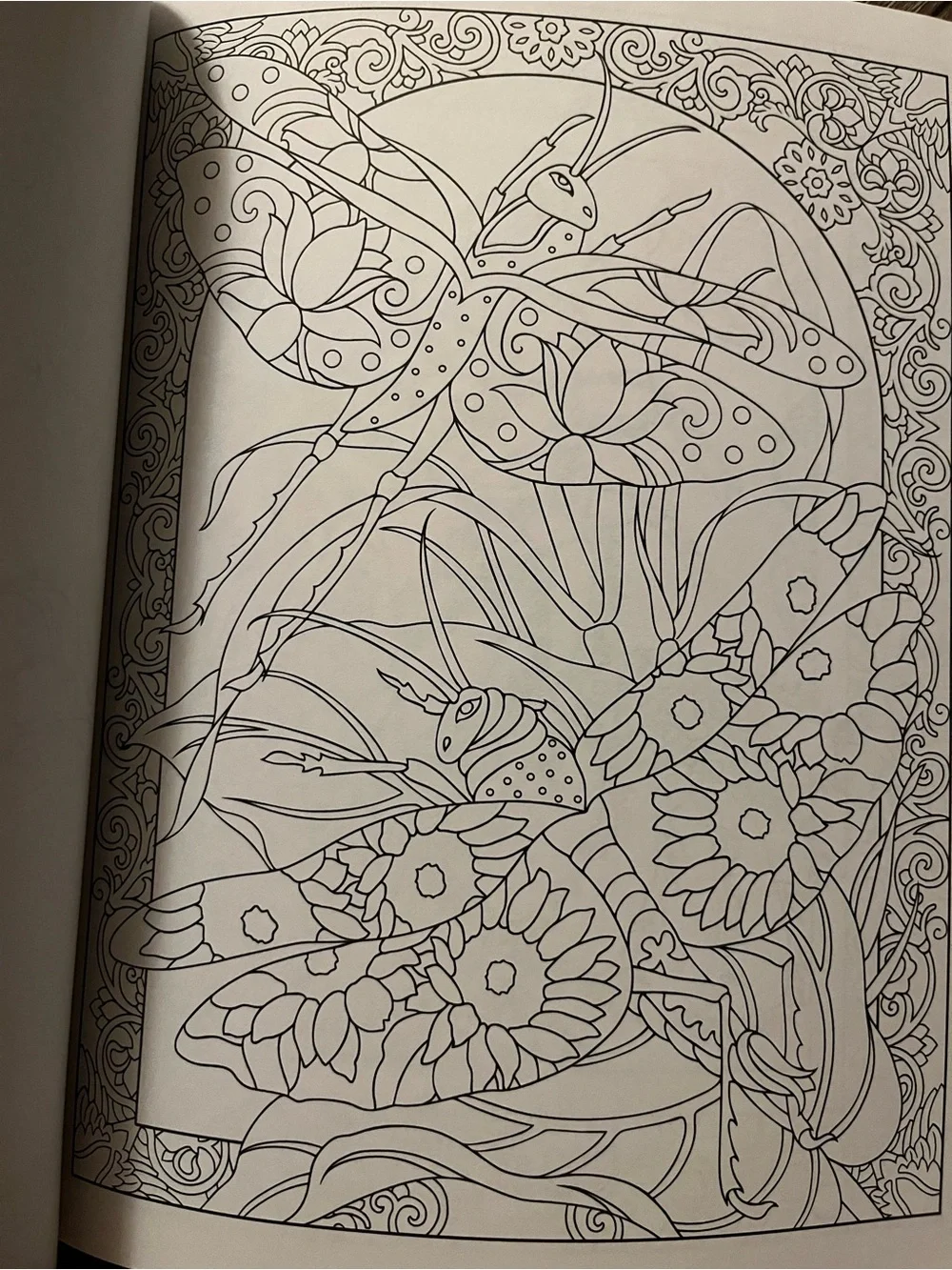 Incredible Insect Designs Coloring Book - Purple & Multicolor